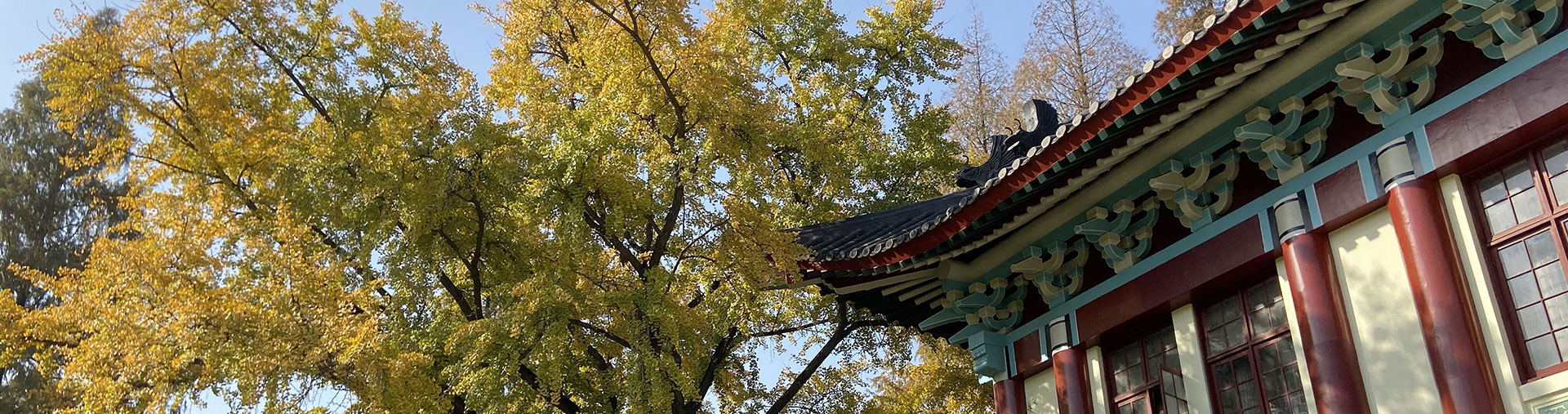 创新创意 虚实结合